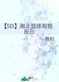 【SD】湘北篮球观察报告